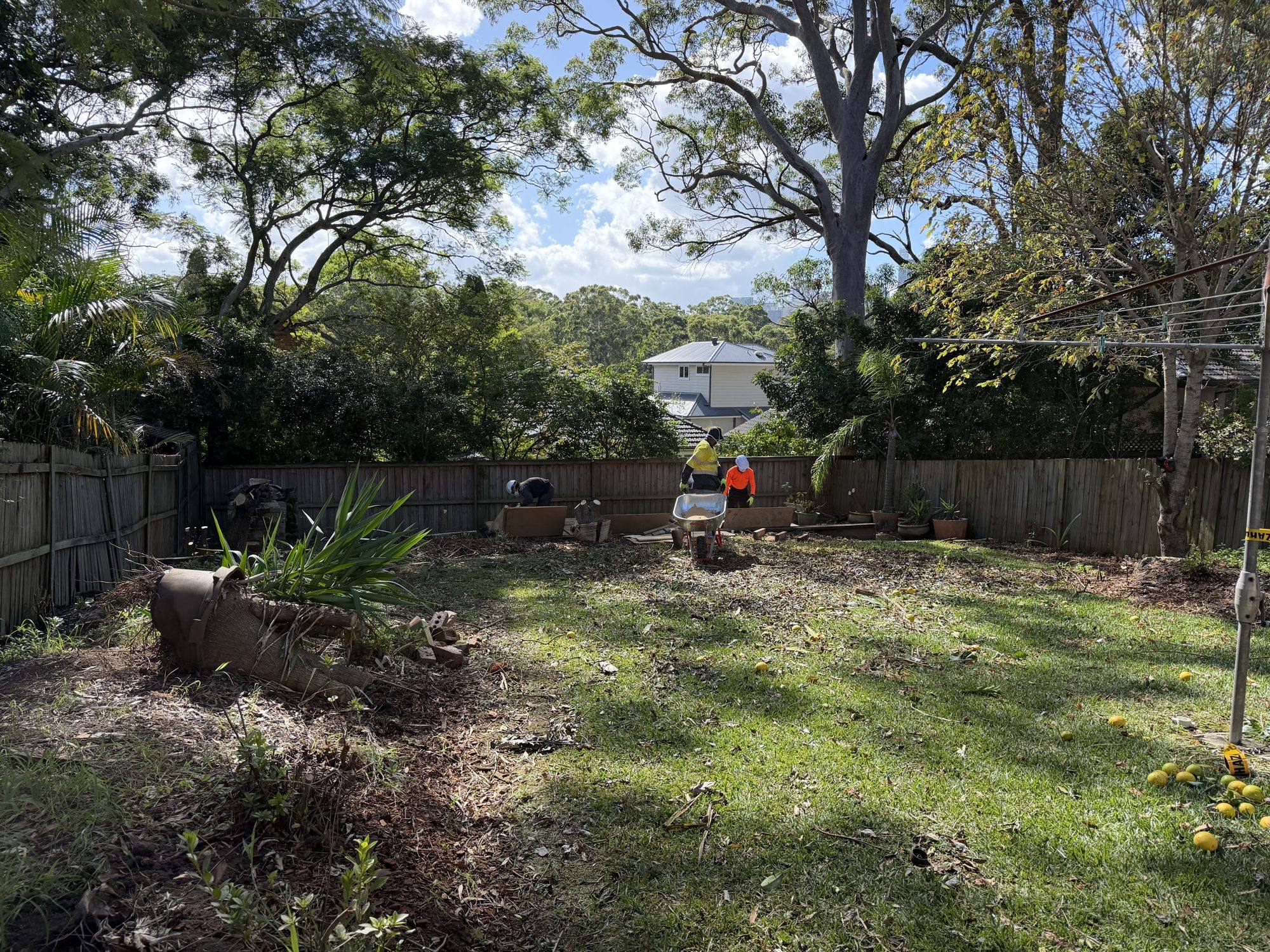 The backyard cleared and handed back with the garden beds tidied