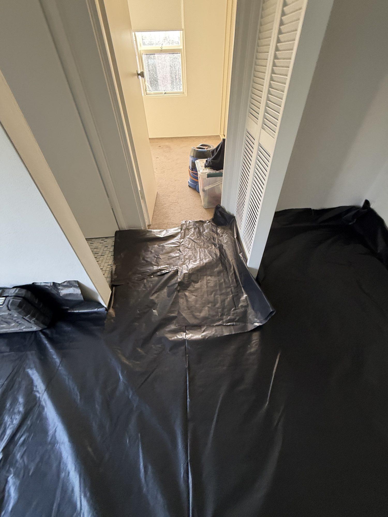 Black plastic sheeting laid across the living room carpet from the front door to the kitchen