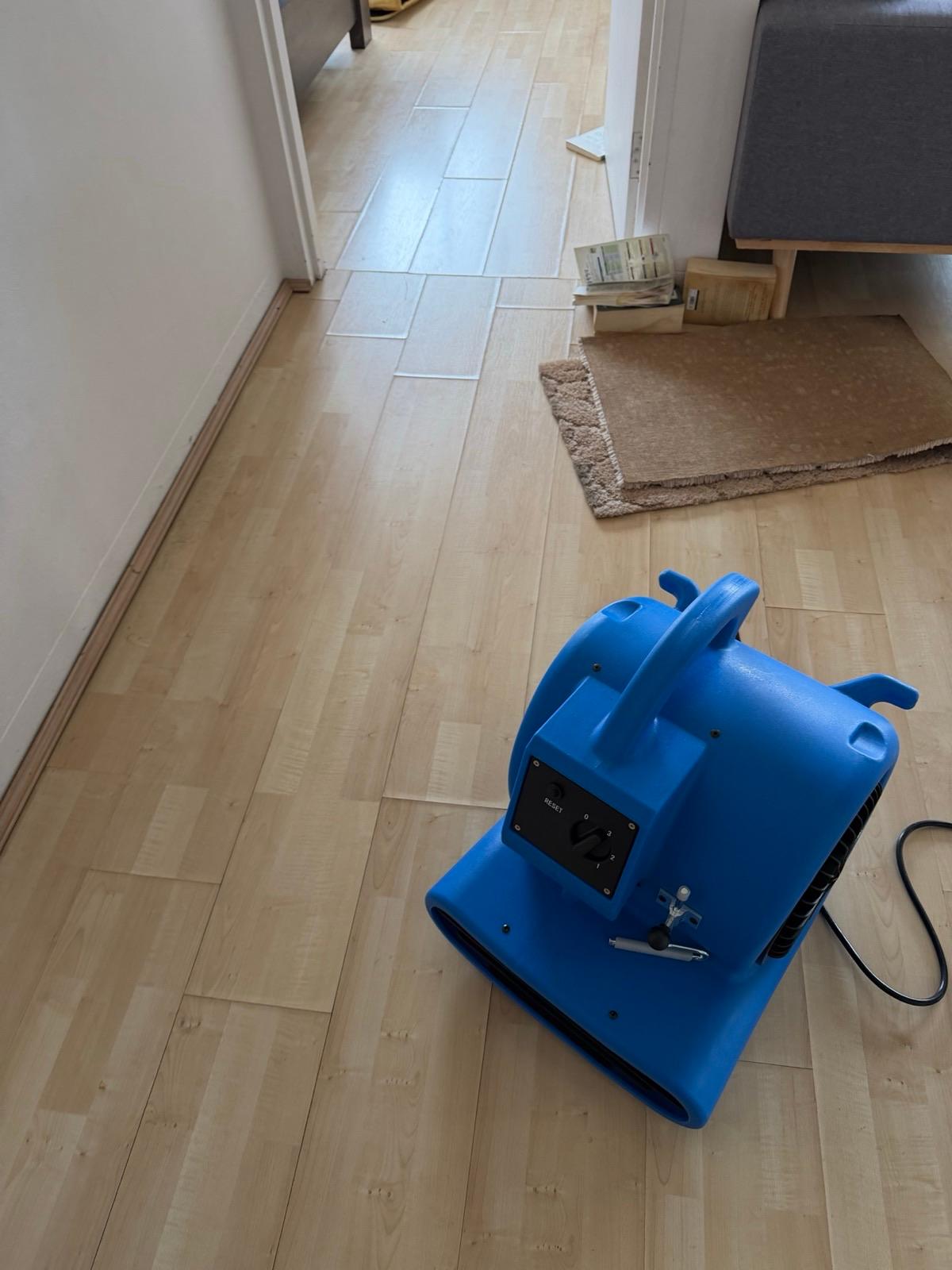 Air mover drying a laminate floor in a Sydney unit