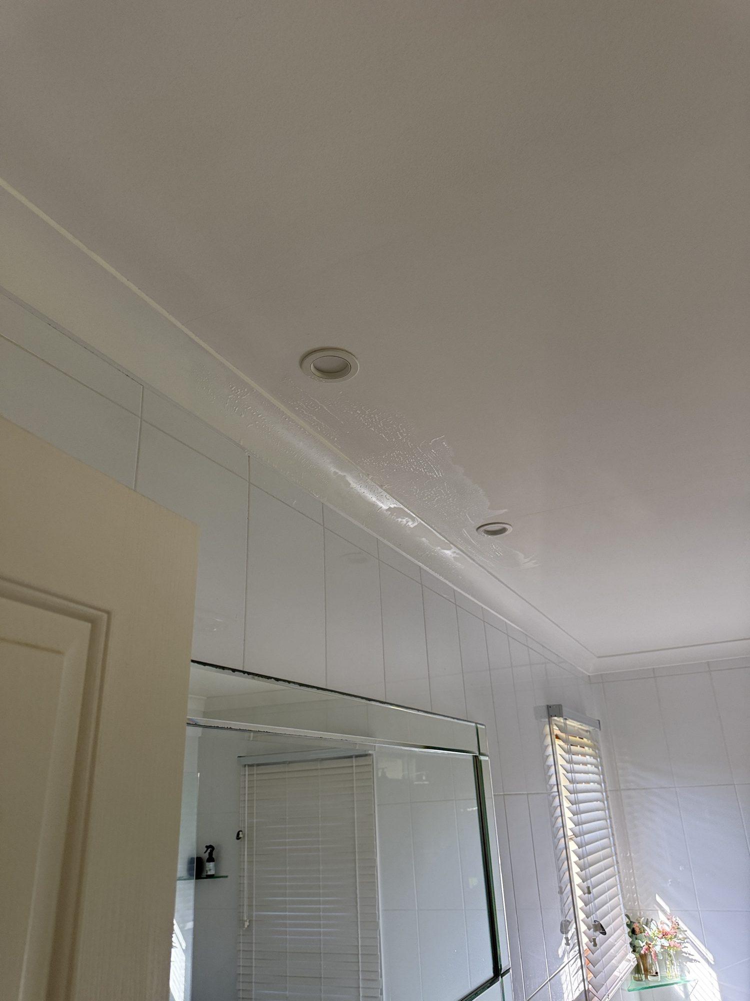 Bathroom ceiling and downlight in the Dural home after mould treatment