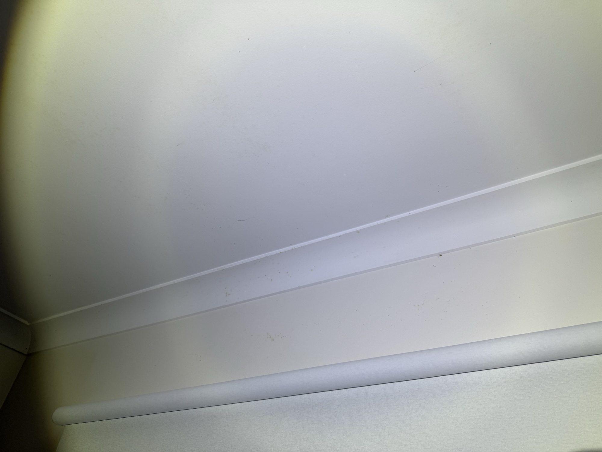 Mould staining along the cornice above a built-in wardrobe in the Dural home