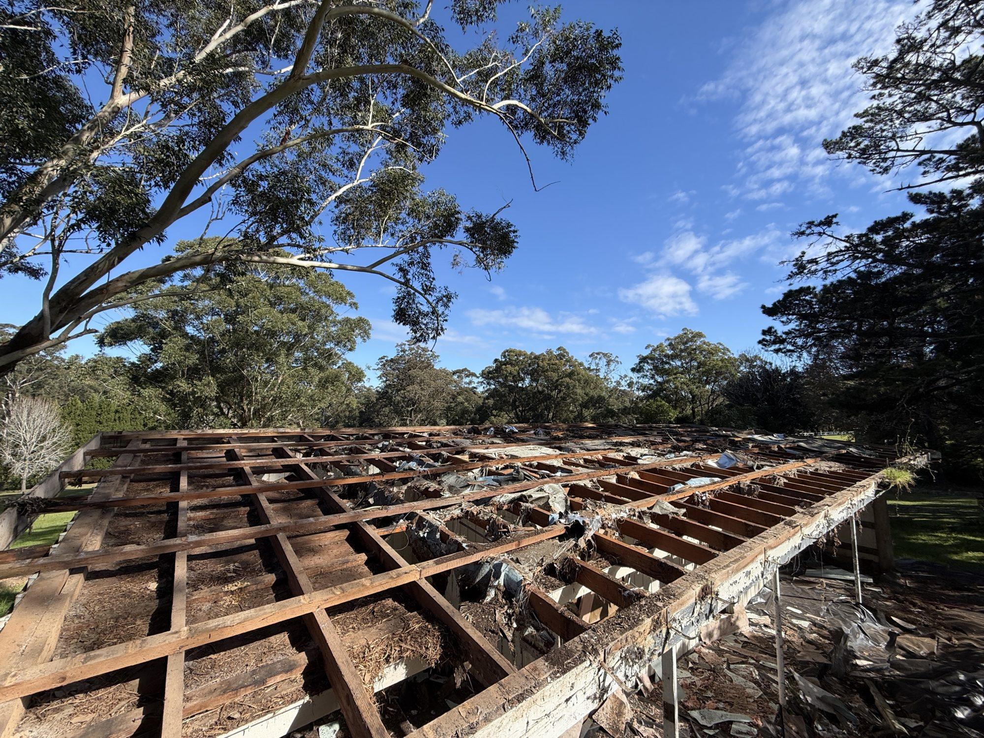 Bare timber rafters and battens of the shed after the asbestos roof sheets were removed