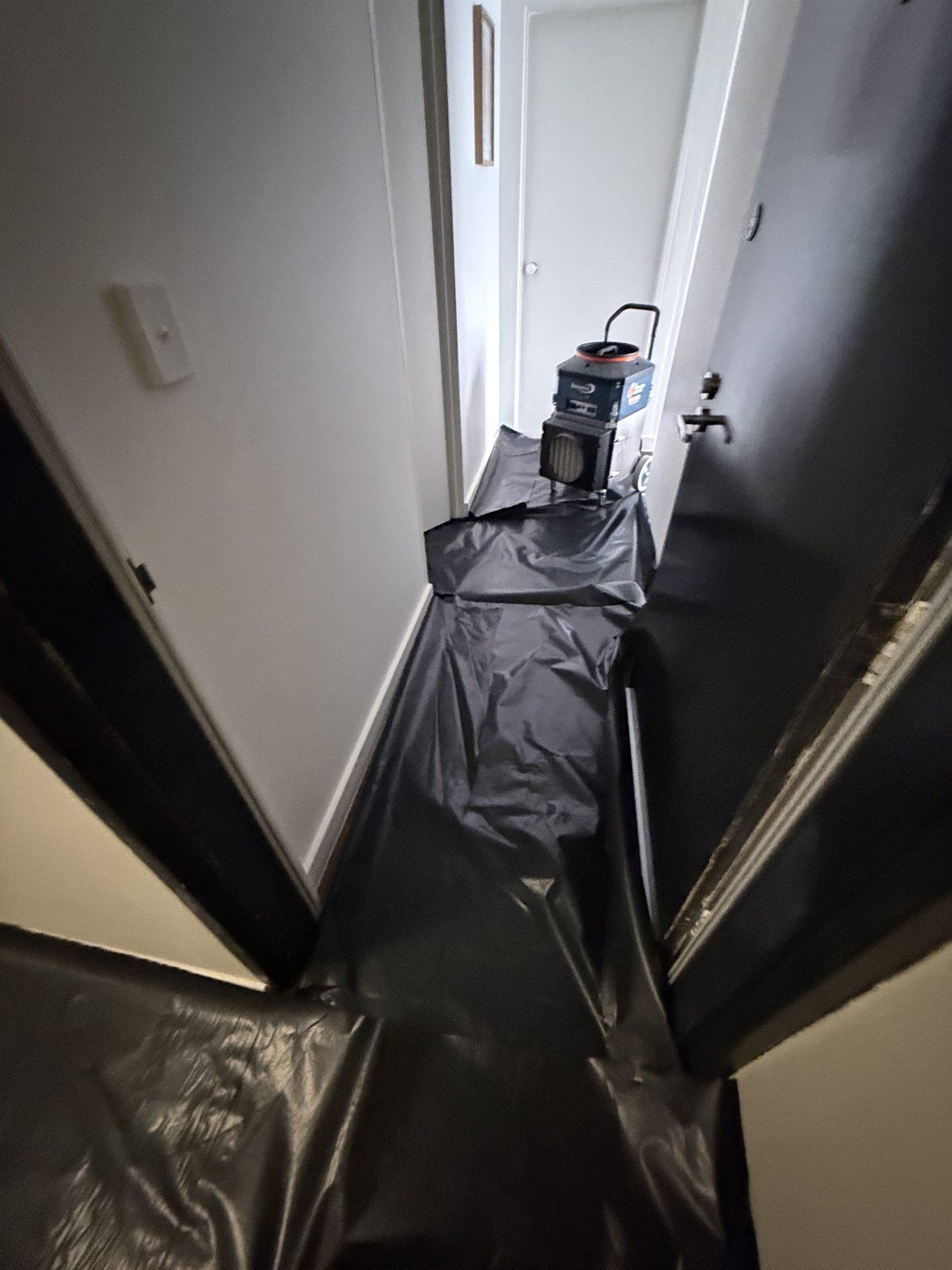 HEPA vacuum and black plastic sheeting laid along an apartment hallway to the bathroom door